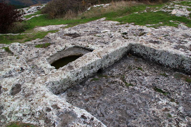 Тарапан (винодавильня)