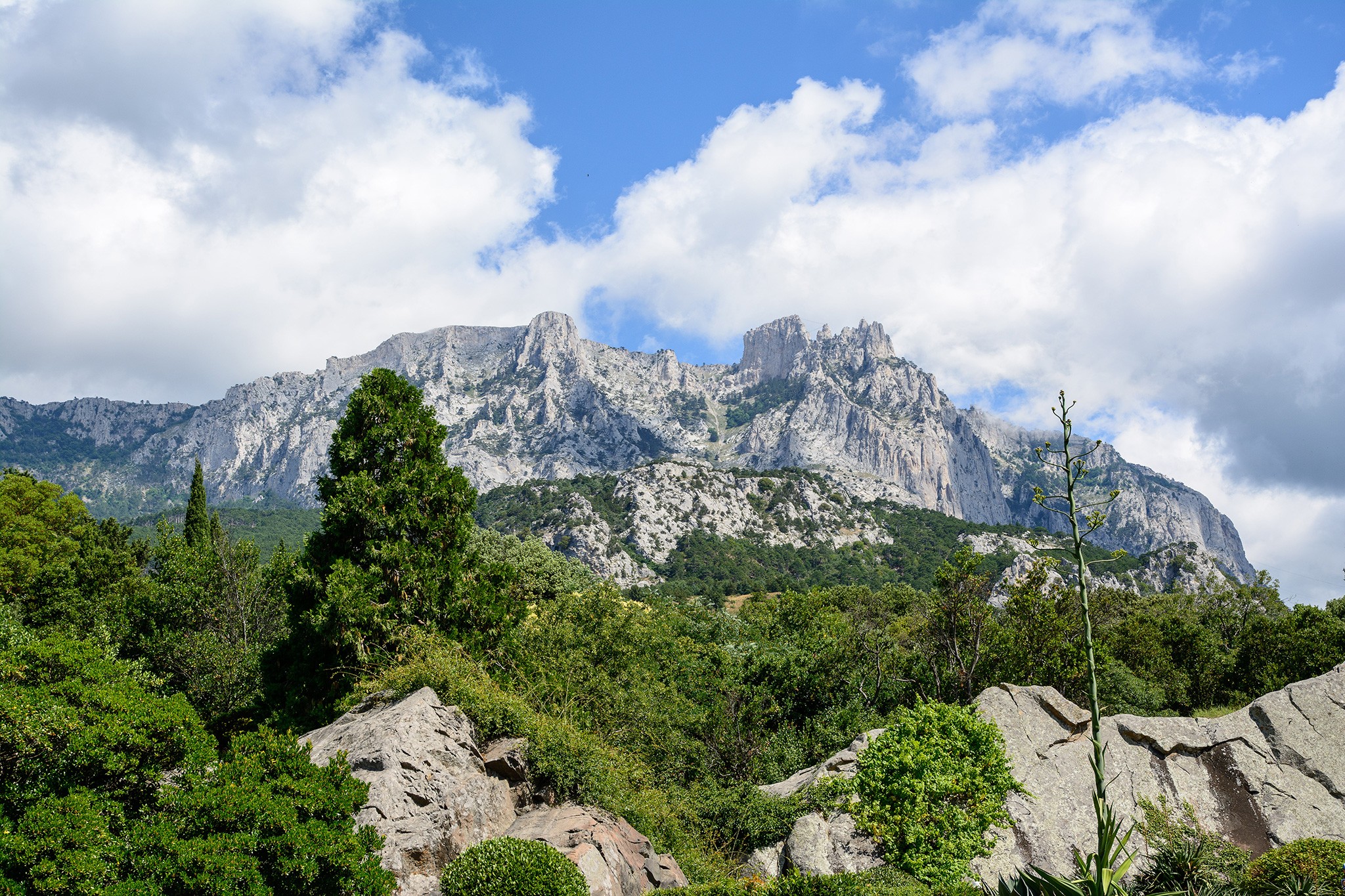 Алупка с Воронцовским дворцом и величественной горой Ай-Петри на заднем плане, утопающая в зелени