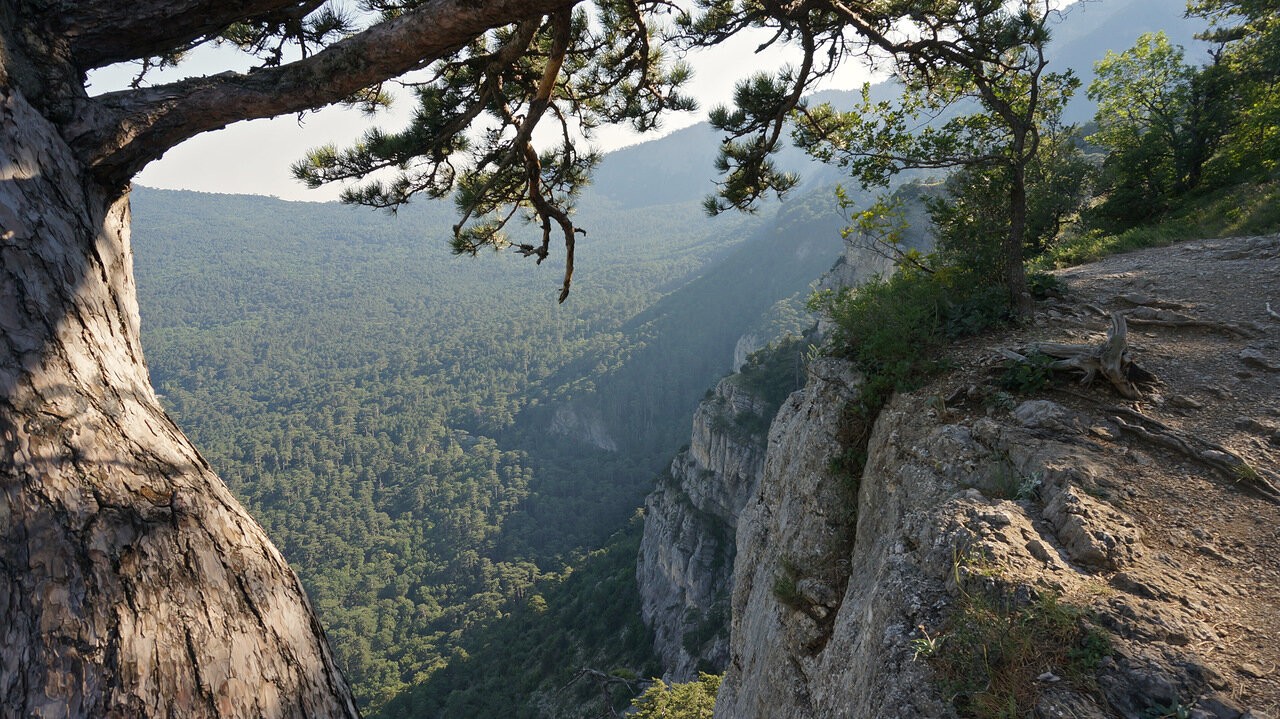 Боткинская тропа