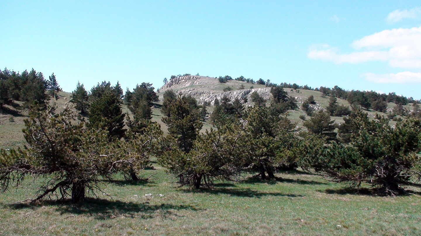 Гора Авинда