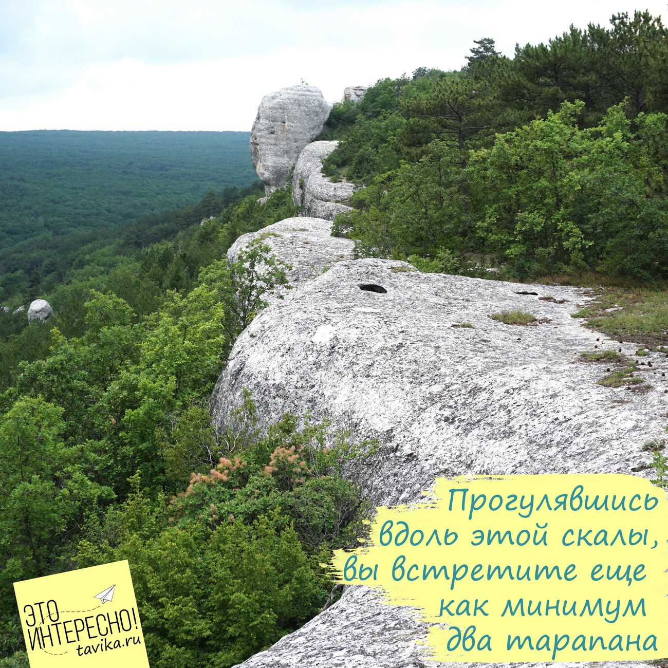 Тарапаны - винодавильни в скалах