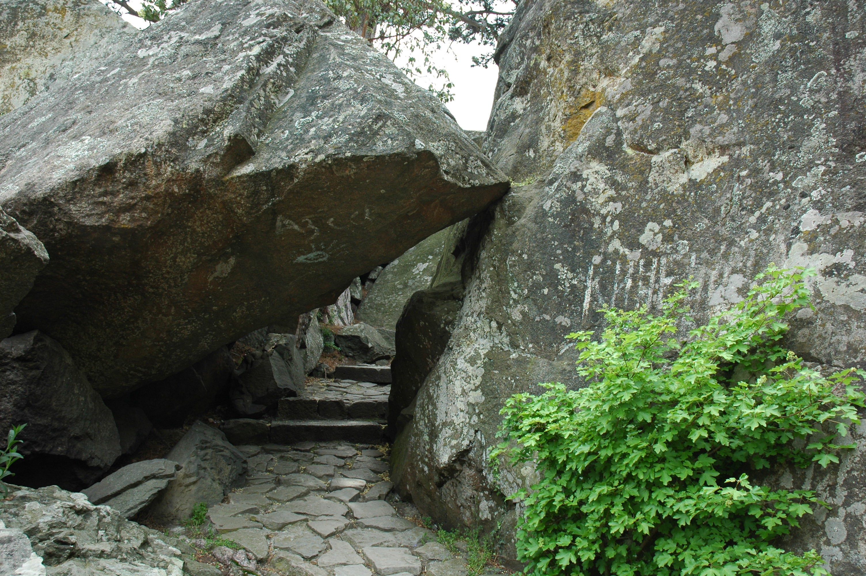 Каменные хаосы в Алупкинском парке — огромные нагромождения природного камня среди вековых деревьев