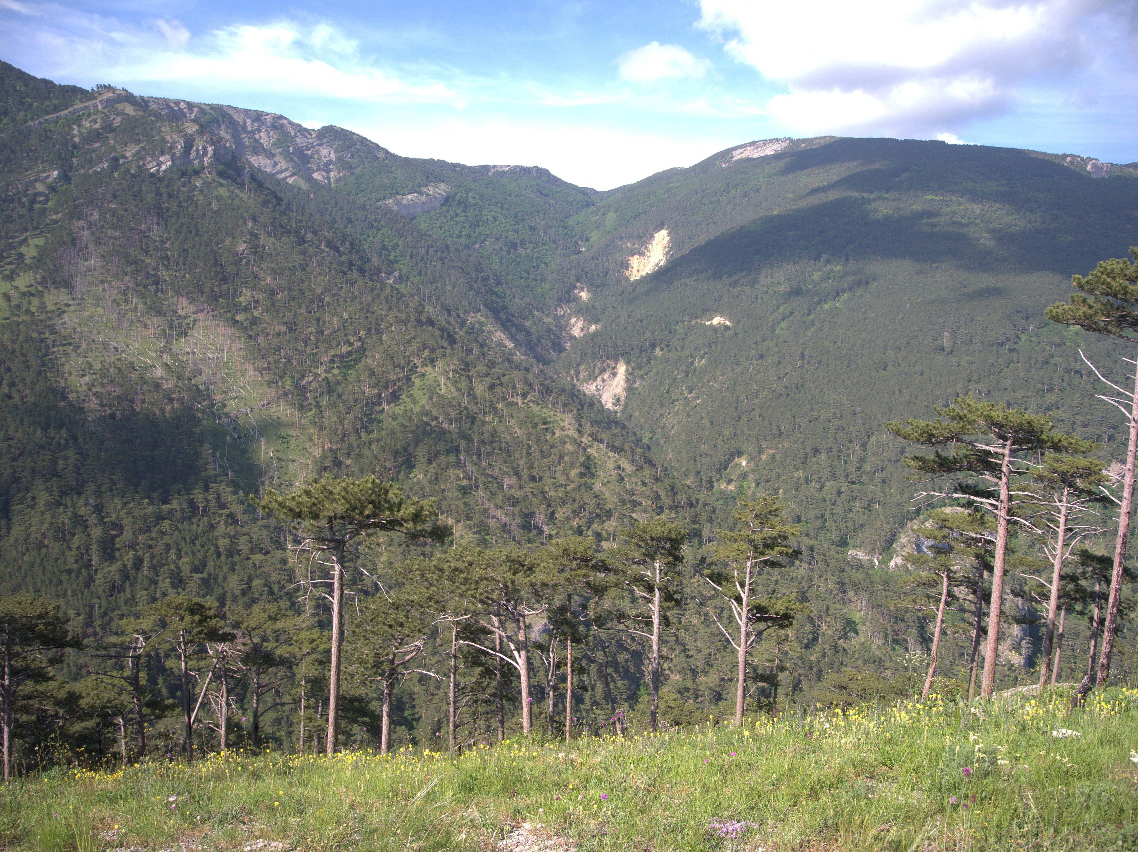 Каньон Уч-Кош