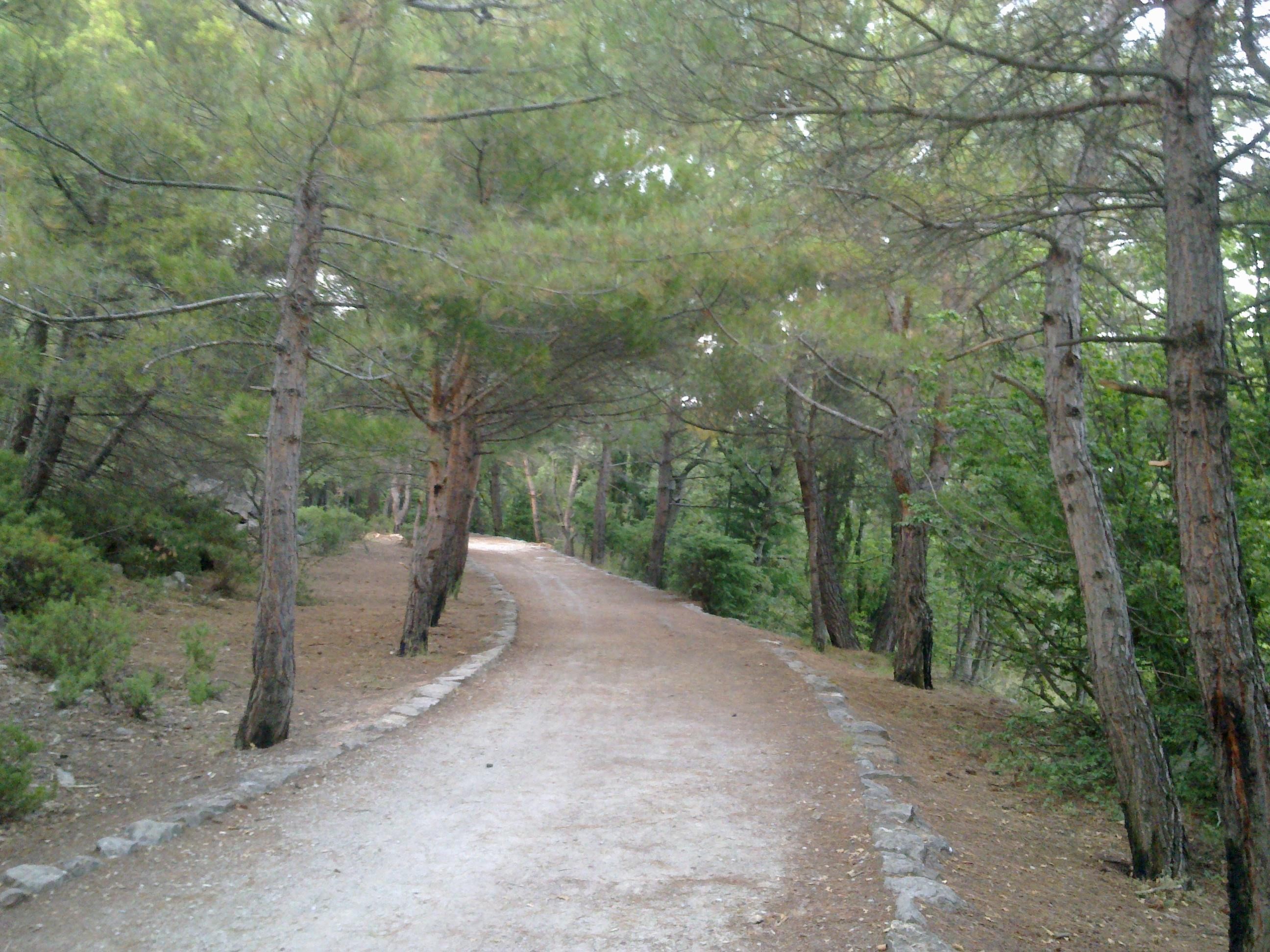 Начало Царской тропы