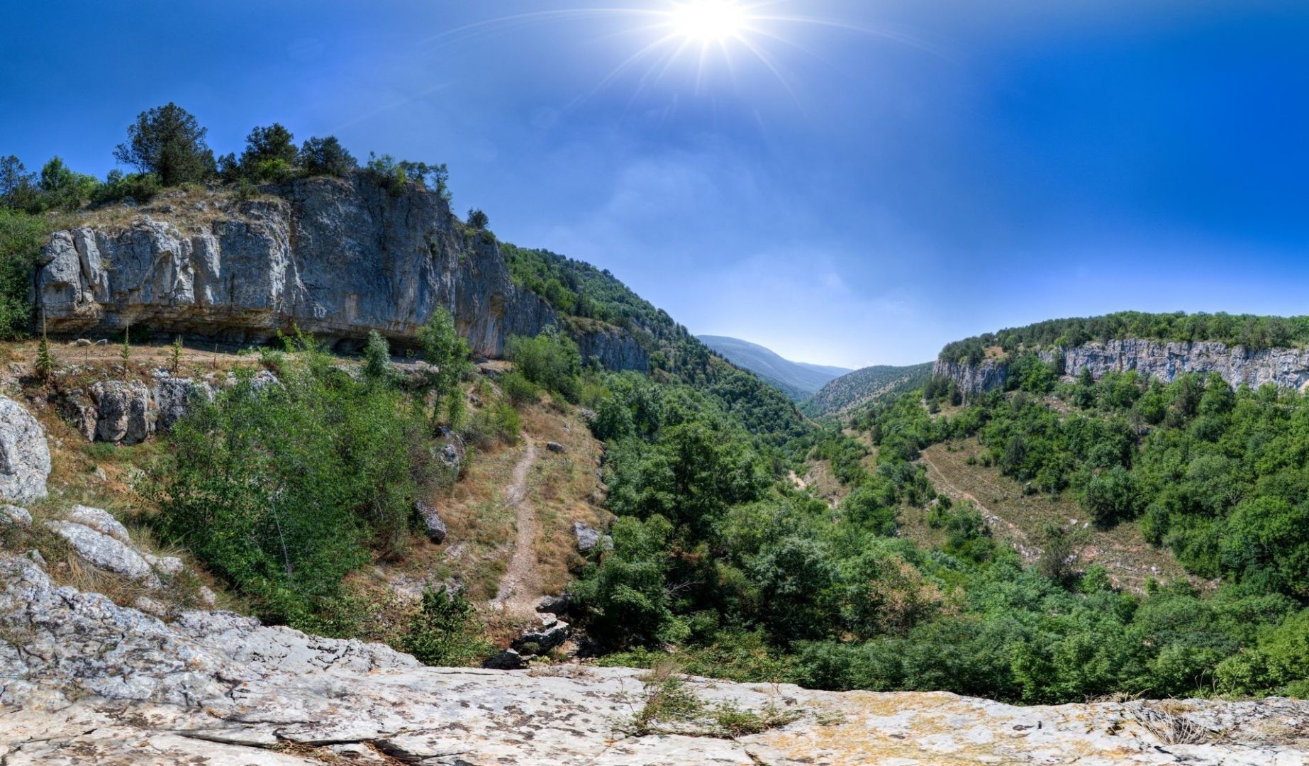 Тисовый лес в Узунджинском каньоне