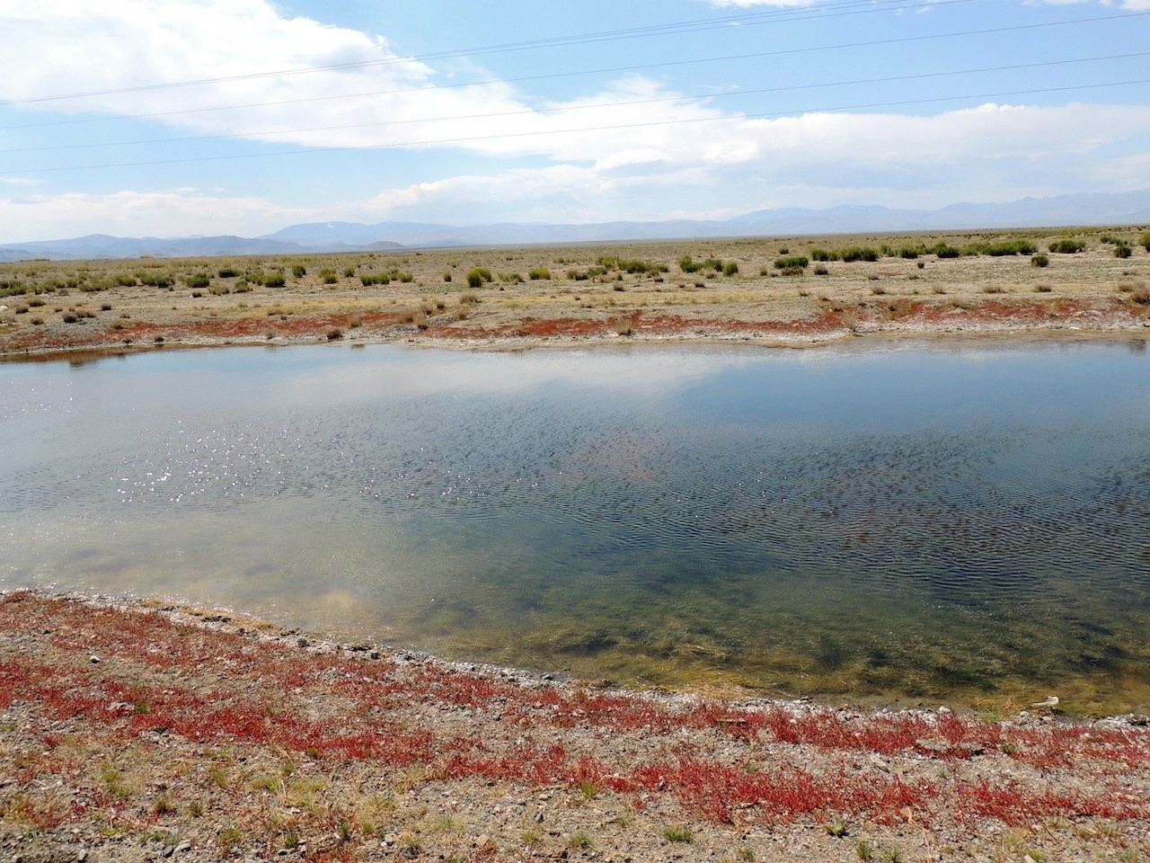Степь у Узунларского озера